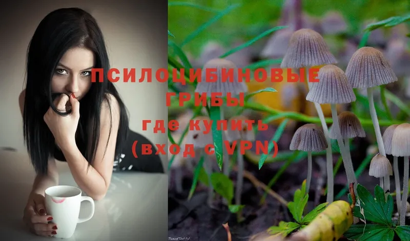 Псилоцибиновые грибы Magic Shrooms Валуйки